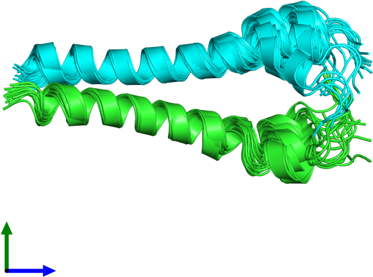 Pdb 2ka1 Coloured By Chain And Viewed From The Front (800x800), Png Download