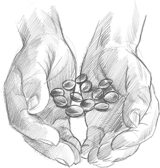 Our Story Begins With Caring Hands - Sketch (640x587), Png Download