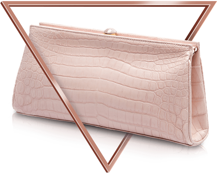 About Vanashree Singh - Handbag (780x639), Png Download