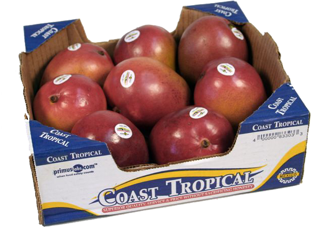 Natural Foods (640x515), Png Download