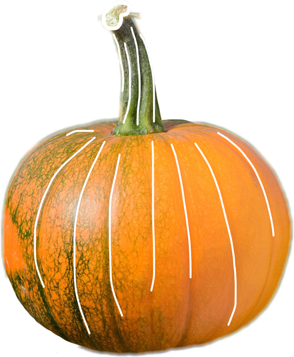 Pumpkin Sticker - Pumpkin (1024x1243), Png Download