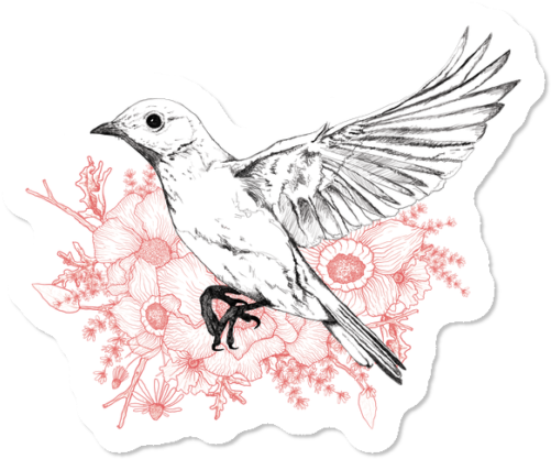 Department Of Wanderlust $3 - Sketch (650x650), Png Download