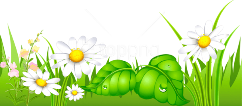 Free Png Download Grass With Daisies Ground Png Images - Happy New Year 2019 Odia (850x374), Png Download