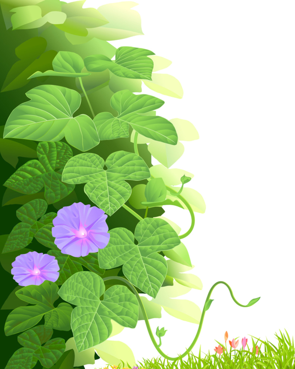 Lembro, Kawaii Stuff, Backdrops, Grass, Photoshop, - Morning Glory (600x750), Png Download