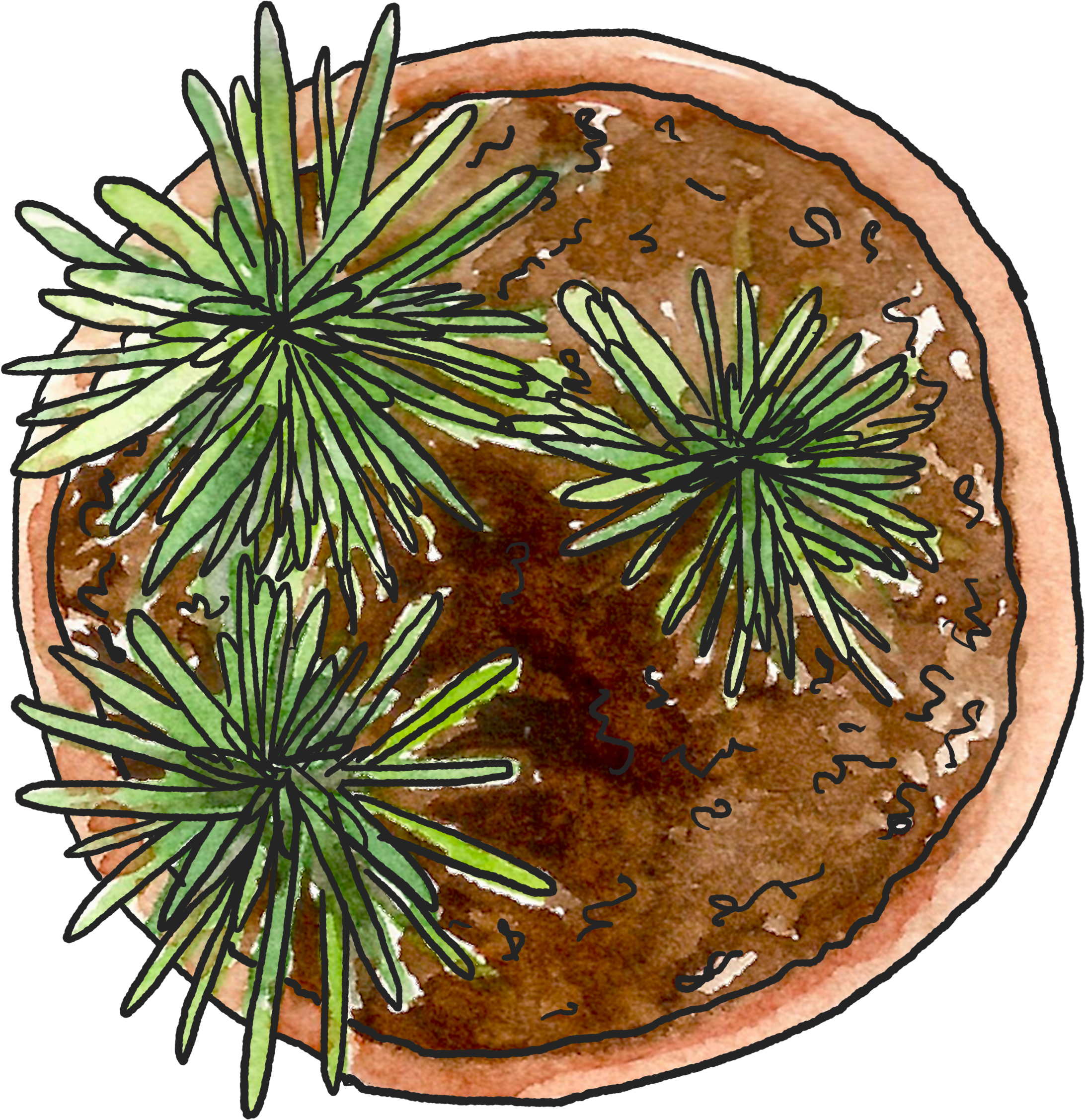 The Garden Party - Illustration (3000x3000), Png Download