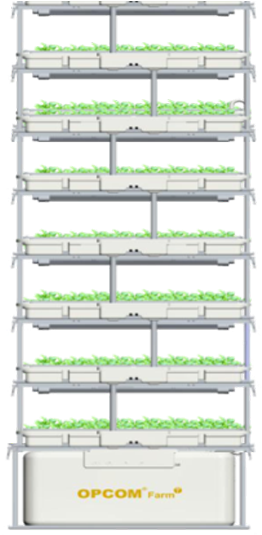 Shelf (600x600), Png Download