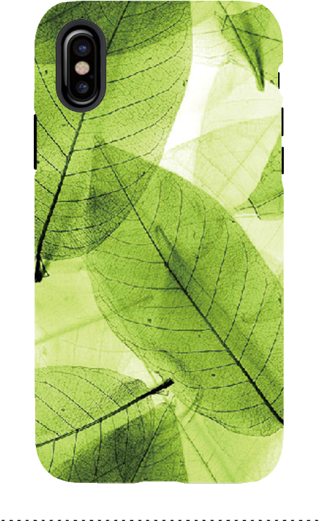 Iphone Green Leaf Stylish New Designed Hard Phone Cases - Wallpaper (800x800), Png Download