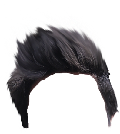 Cb Hair Png Picsart City Manipulation Background - American Crow (879x676), Png Download