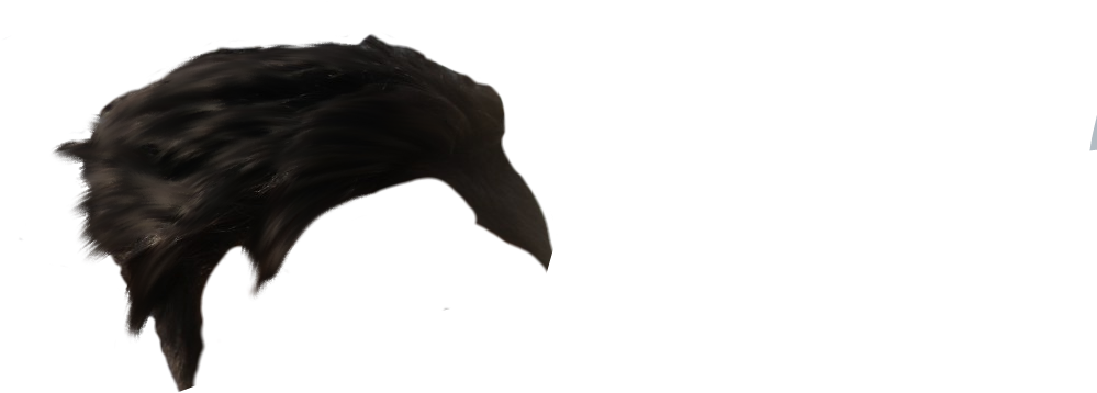 7) Hair Png (optional ) - Bat (1200x1800), Png Download