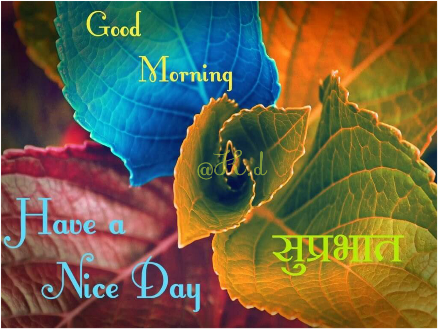 Good Morning Messages In Hindi (1590x1950), Png Download