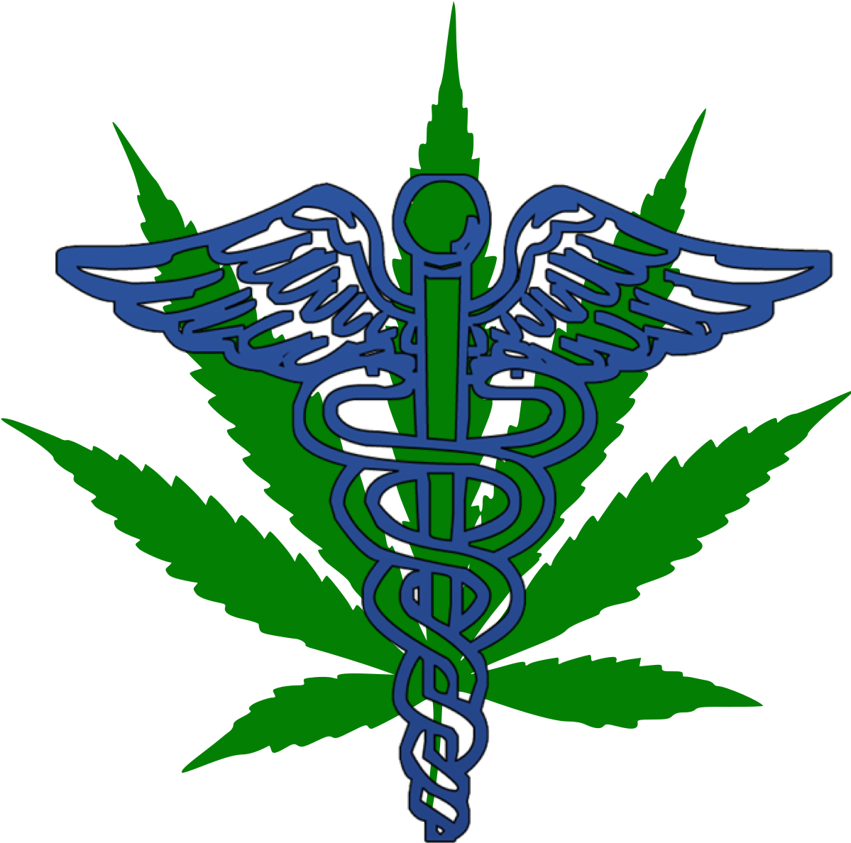 Medical Doctor Png (1200x1280), Png Download