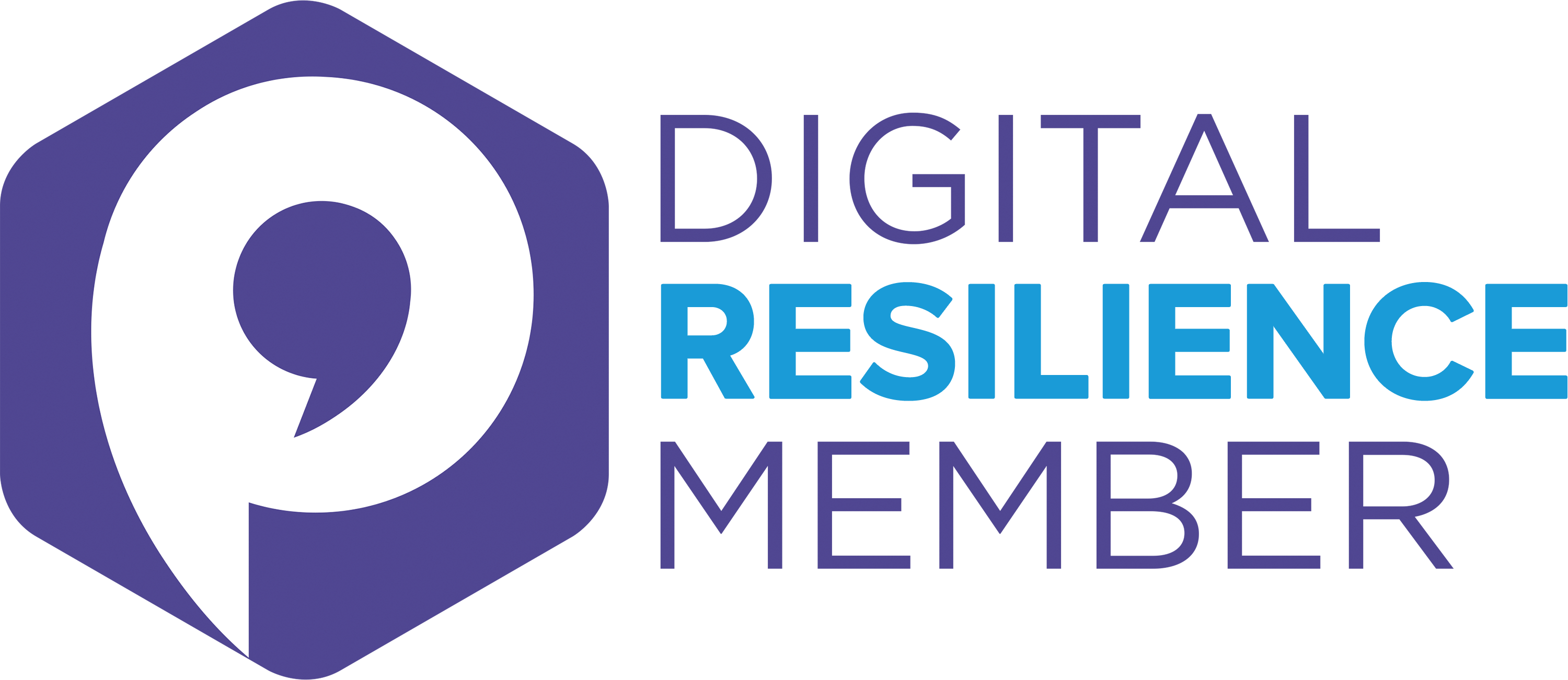 Digital Resilience Logo - Digital Schools Member (3000x1302), Png Download