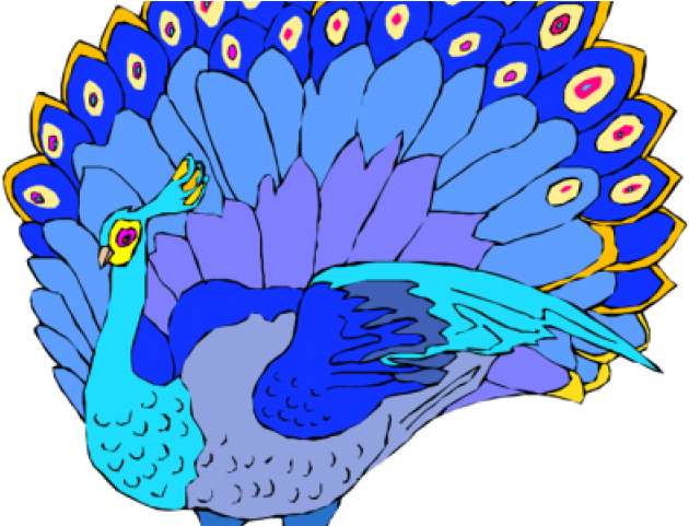 Peacock Clipart Summer - Turkey (640x480), Png Download