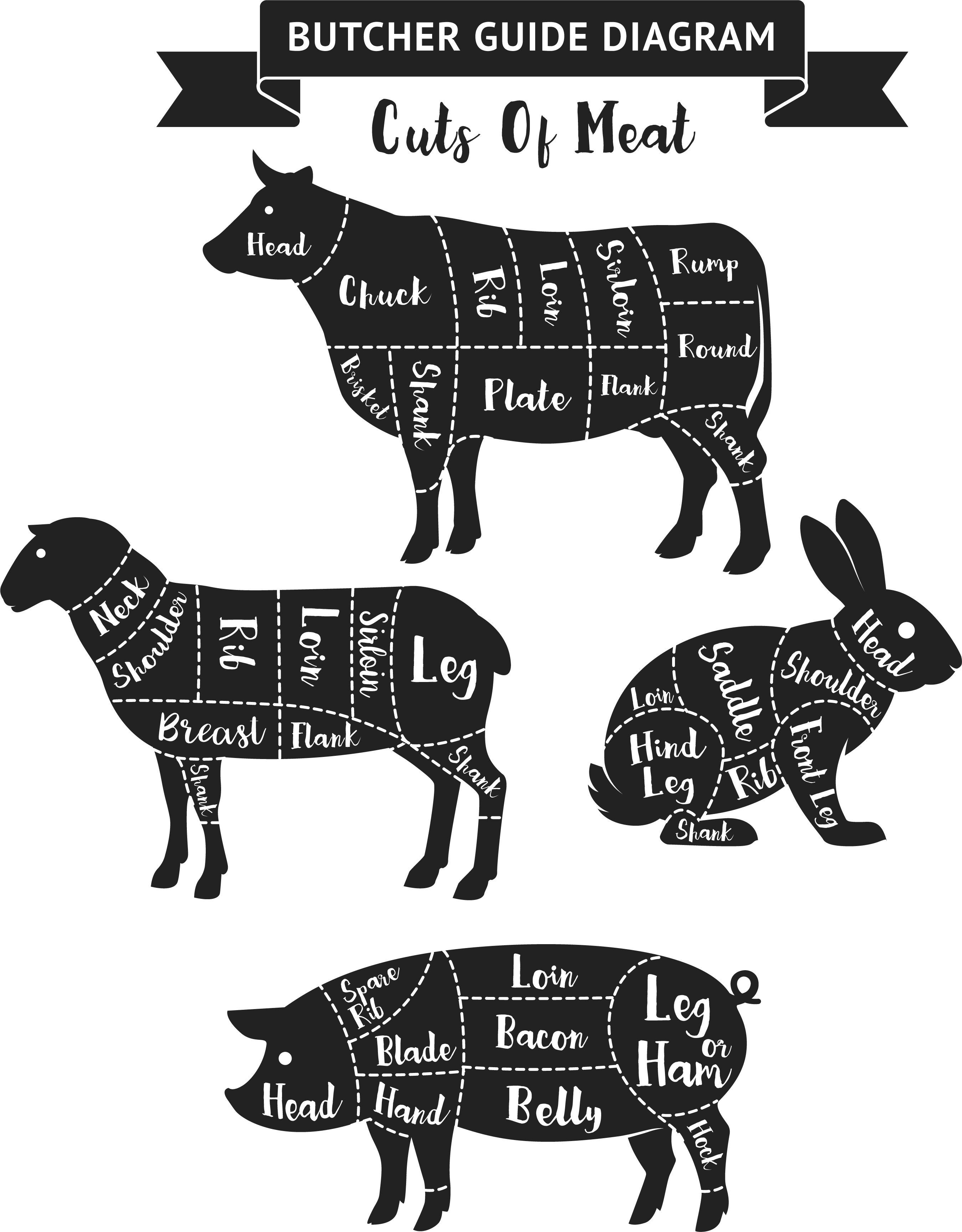 Tom's Live Market Provides Omaha, Ne And Surrounding - Meat Diagram (2698x3454), Png Download