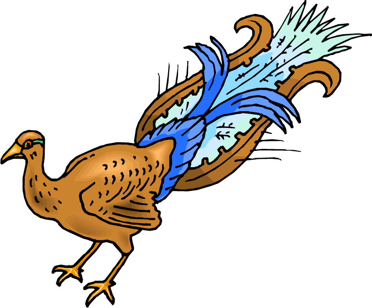 Peacock Clipart Female Peacock - Cartoon Peacock (750x621), Png Download