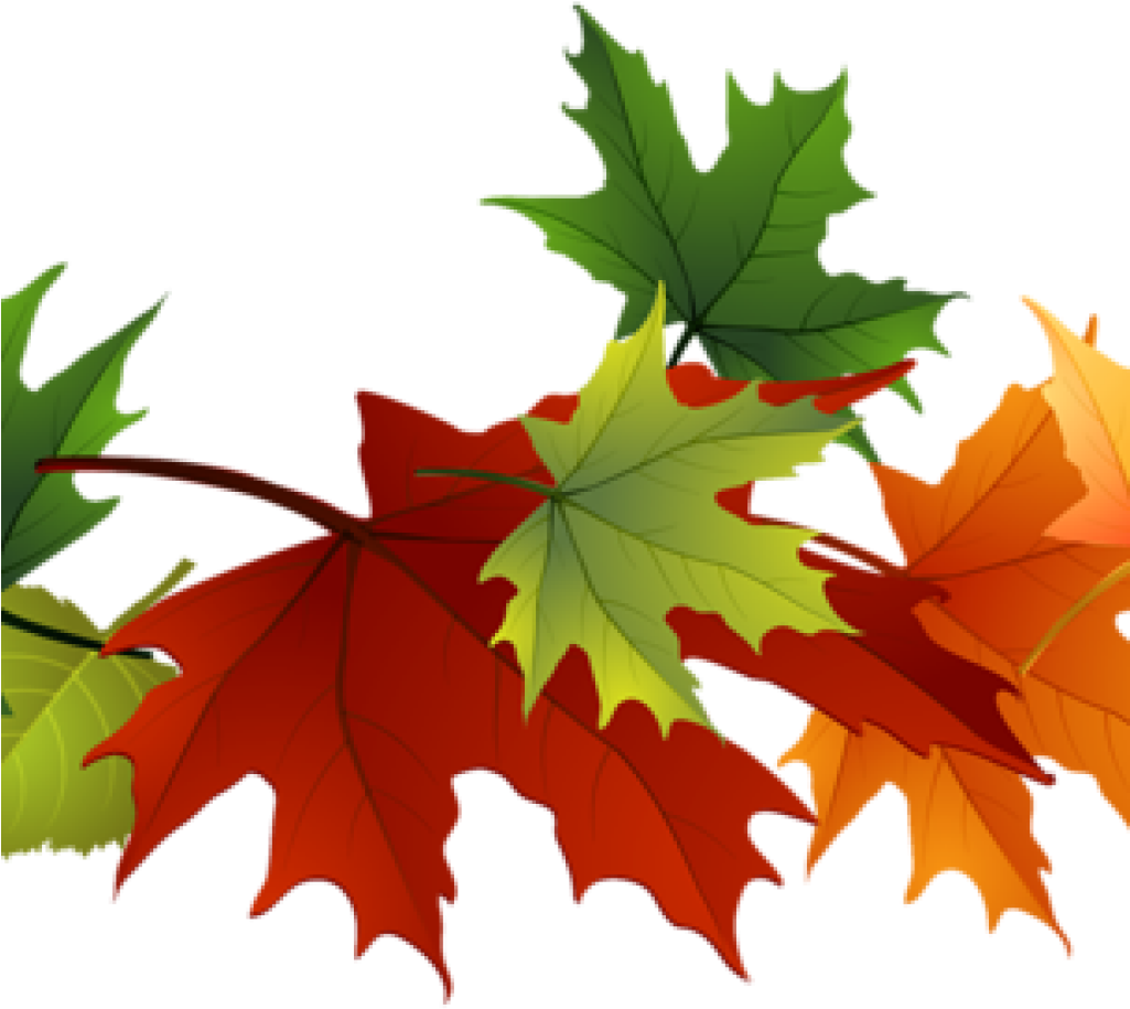 Fall Foliage Clipart Fall Foliage Clipart Fall Transparent - Transparent Background Fall Leaves Clip Art (1024x1024), Png Download