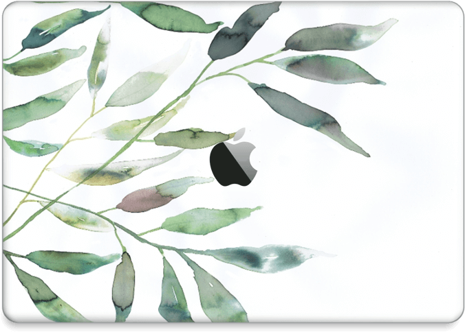 Ramas De Olivo - Illustration (800x562), Png Download