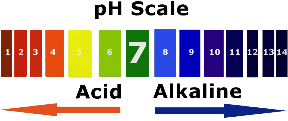 Alkaline Water Is Water With A Ph Level Greater Than - Level Ph Water Png (1186x499), Png Download