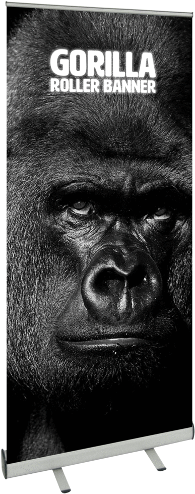 Gorilla Roller Banner - Monkey (456x1024), Png Download