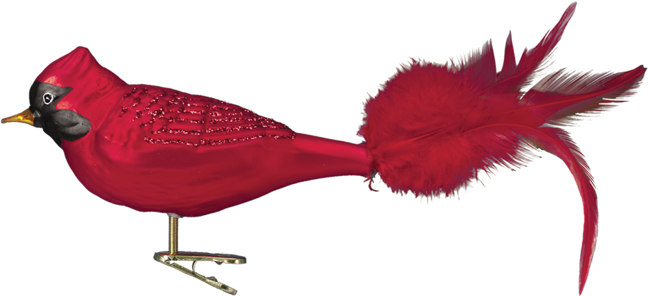 Old World Christmas Red Cardinal Glass Bird Ornament - Christmas Bird Ornament Png (1000x1000), Png Download