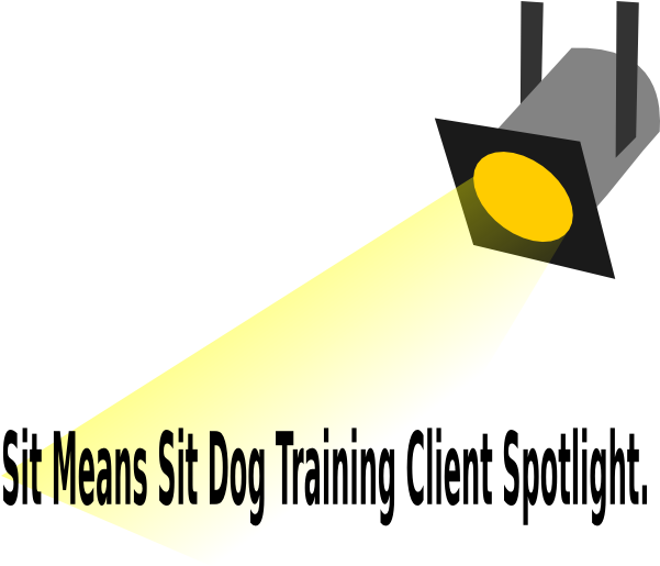 600 X 563 4 - Spotlight Clip Art (600x563), Png Download