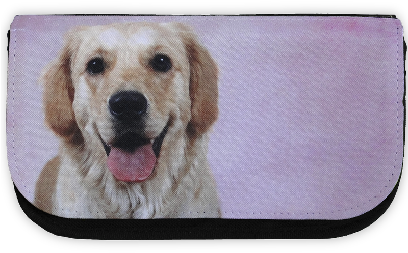 Golden Retriever, Pencil Case - Labrador Retriever (799x600), Png Download