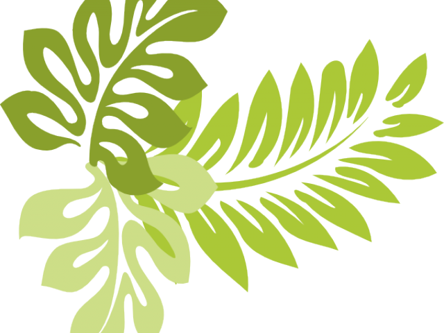 Tropics Clipart Jungle Leaves - Hibiscus Clip Art (640x480), Png Download