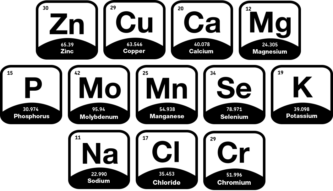 Hydration Impacts How Your Body Regulates Temperature, (1060x609), Png Download