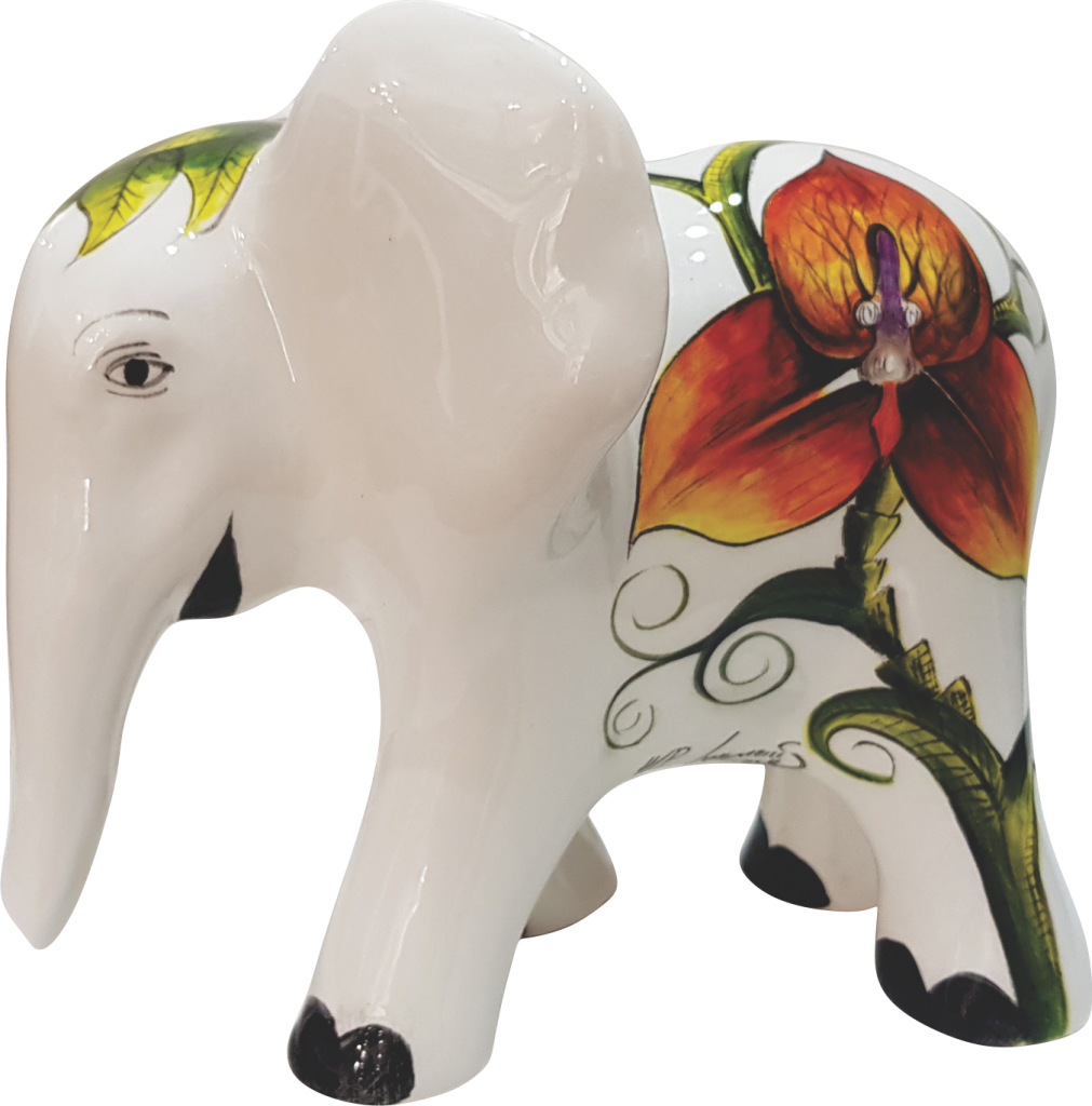 Indian Elephant (1011x1024), Png Download