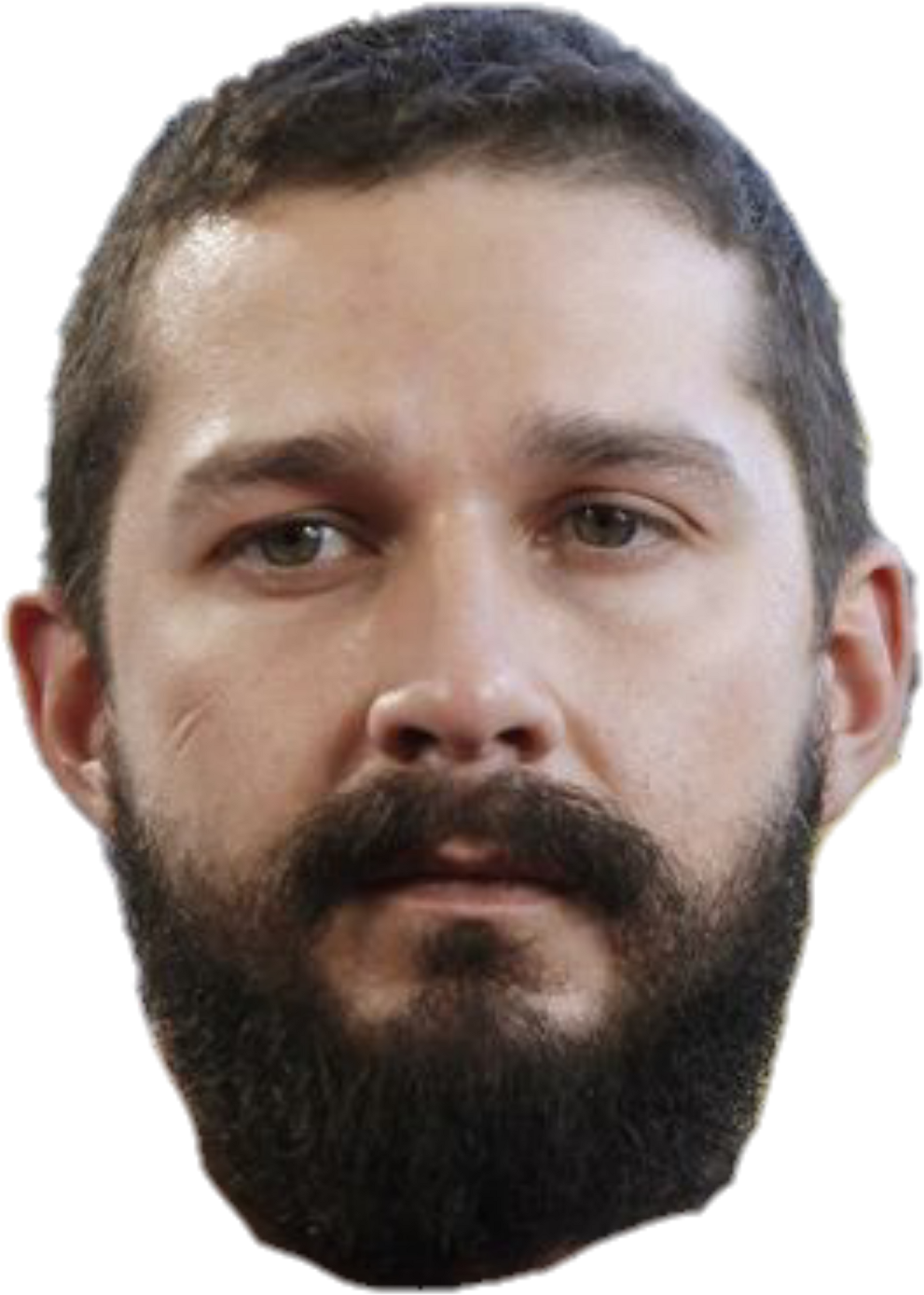 #shialabeouf - Shia Lebeouf (1024x1448), Png Download