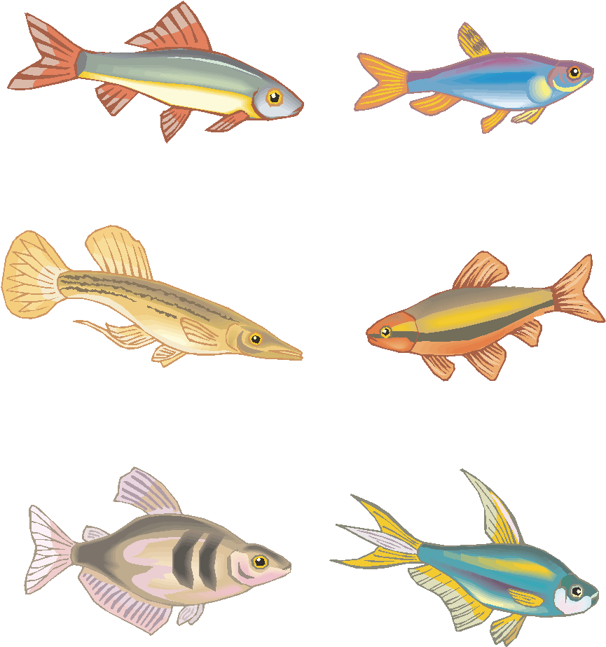 Vector Fish Hand Drawn Marine Animals Png And Image - Bony-fish (1025x1370), Png Download