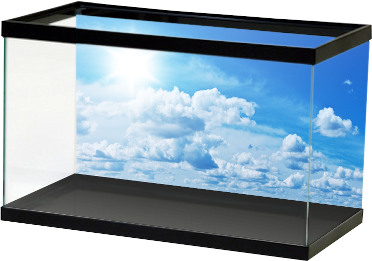 Specialty Clouds (800x800), Png Download