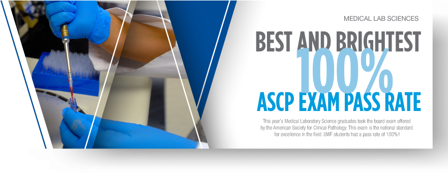 Medical Laboratory Sciences - Hate Your Kids (880x380), Png Download