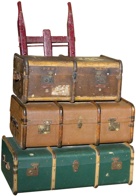 Case, Cases, Shut Case, Travel, Luggage, Holdall - Trunk (565x720), Png Download