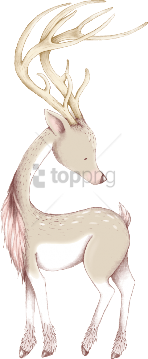 Free Png Download Cute Christmas Deer Ornaments & Oval - Reindeer (480x1162), Png Download