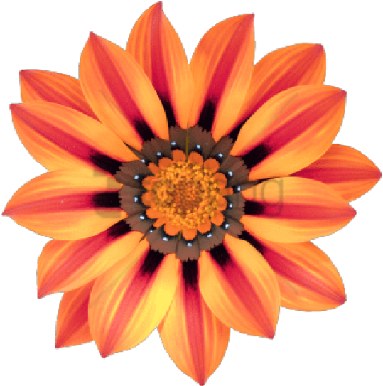 Free Png Download Transparent Flower Tumblr Png Images - Triangle Flower (850x638), Png Download