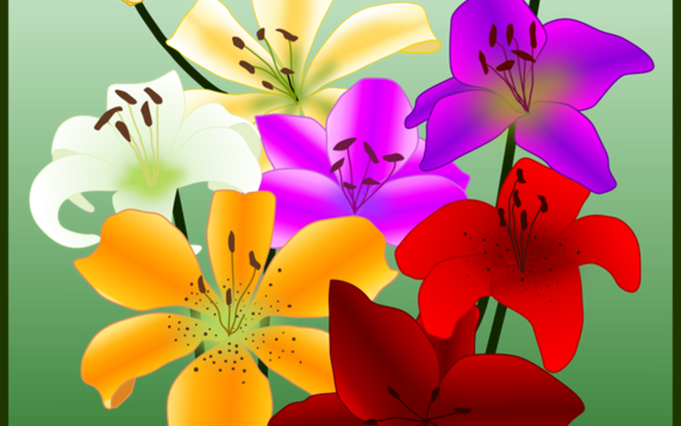 Flower Drawing Yellow Easter Lily Petal Free Commercial - Tiger Lily (1368x855), Png Download