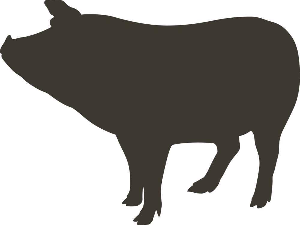 Pig - Cattle (1000x750), Png Download