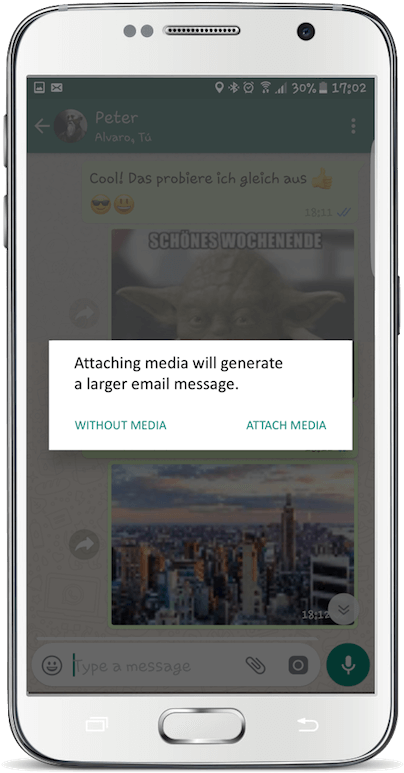 1 - Do You Mean By Export Chat (500x826), Png Download