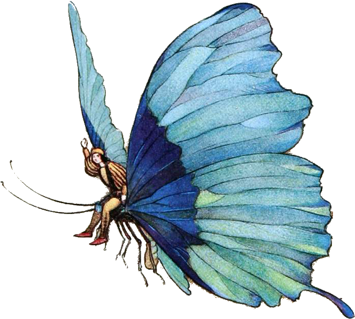 Fairy Tails At Charcon Confluence Meta Rpg - Swallowtail Butterfly (783x732), Png Download