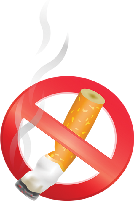 Just Say No To Smoking (576x748), Png Download