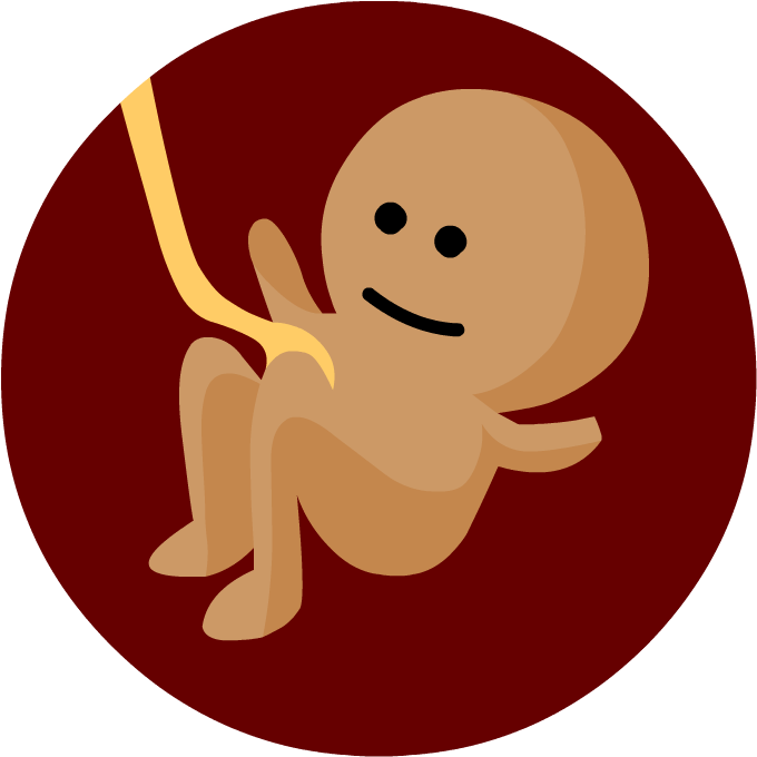 Cartoon (880x880), Png Download