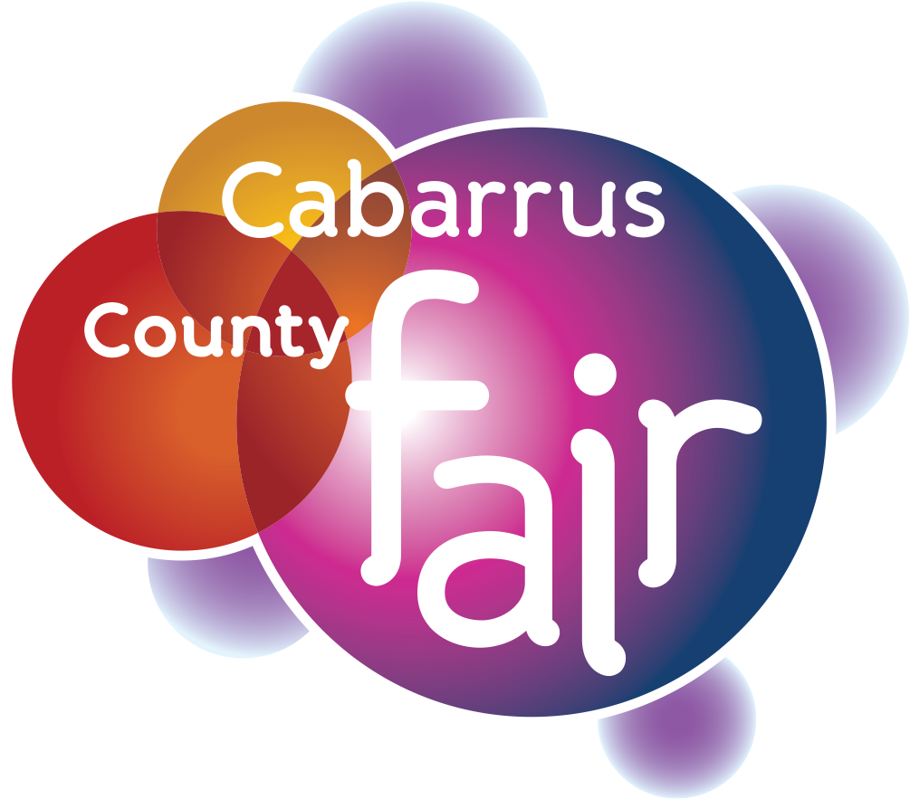 Circle (1200x1050), Png Download