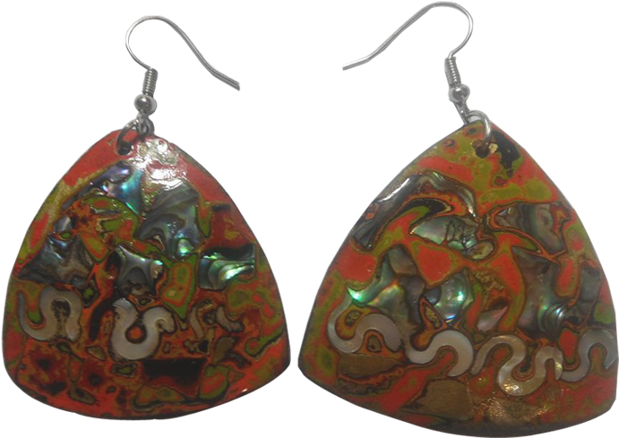Earring Coconut Shell - Earrings (800x800), Png Download