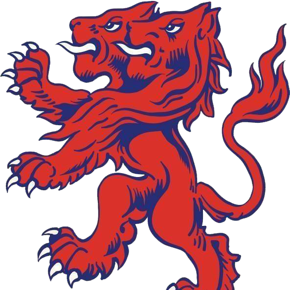 Birmingham Lions - Illustration (593x593), Png Download