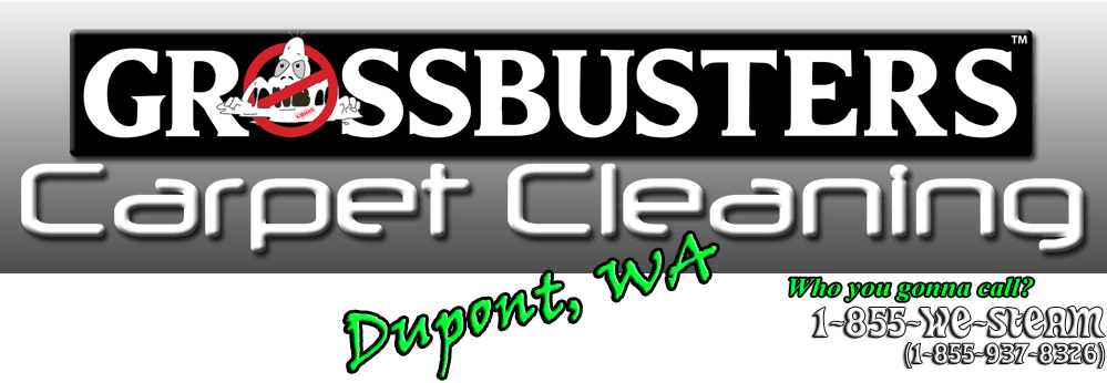 Grossbusters Carpet Cleaning Dupont, Wa - Parallel (999x346), Png Download