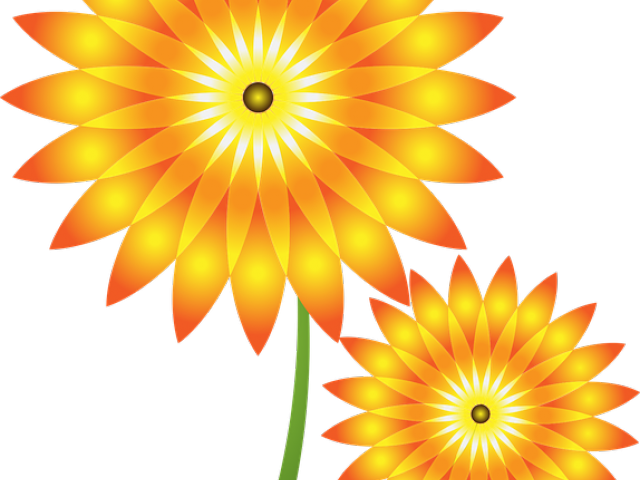 Sunflower Clipart Monogram - Clip Art (640x480), Png Download