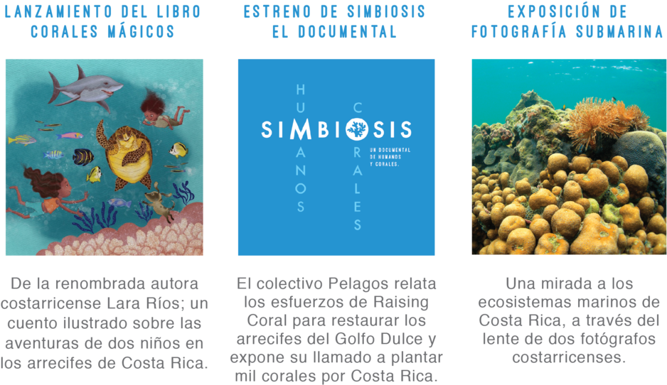 Invitacion Editable Latest-18 - Coral Reef (1000x598), Png Download