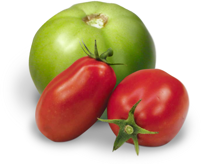 Pack Specs - Red And Green Tomato Png (773x624), Png Download