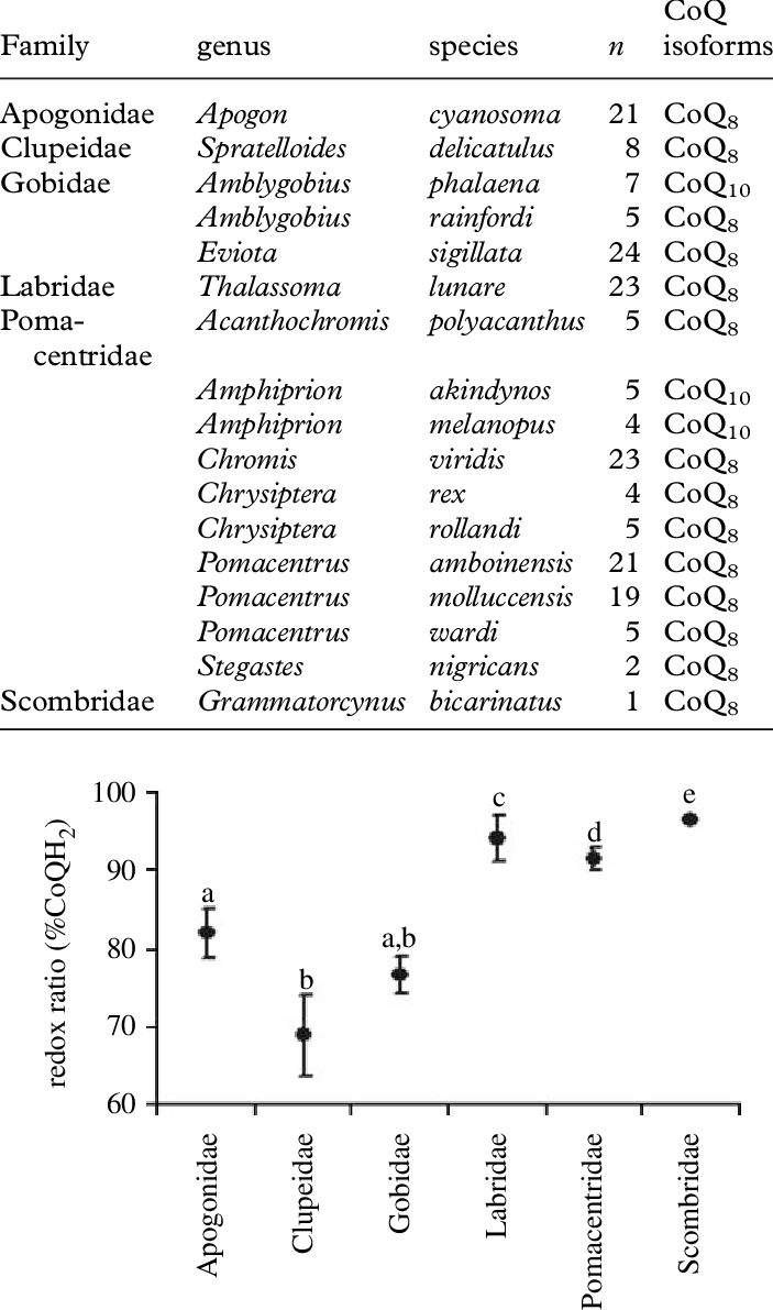 Natural Occurrence Of Coq Isoforms Among Coral Reef - Document (703x1191), Png Download